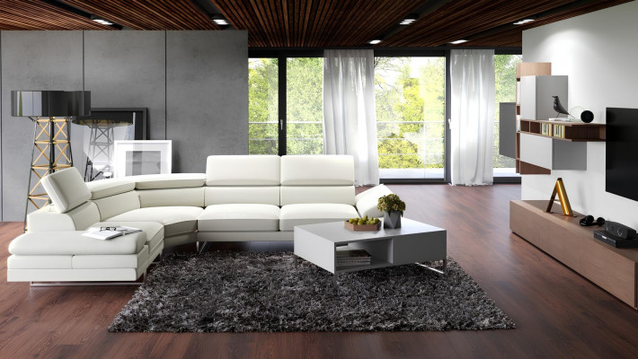 Modern L-shaped sofa