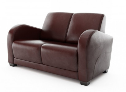 Modern two-seater sofa made of 100% Italian leather