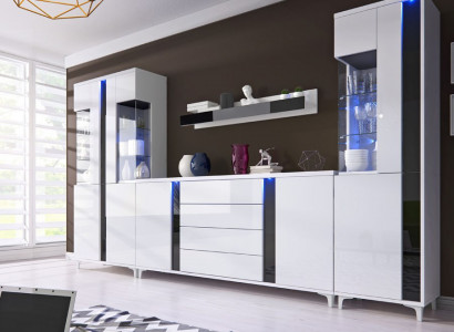 High-gloss living wall, wall unit, living room cabinet, display cabinet, sideboard, living walls