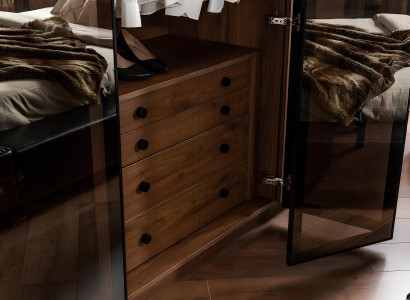 Brown glass wardrobe with glass doors