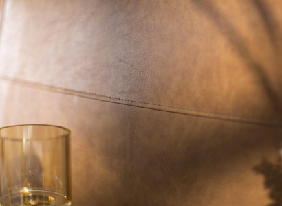 Aspect modern in luxurious synthetic leather, comfortable bed