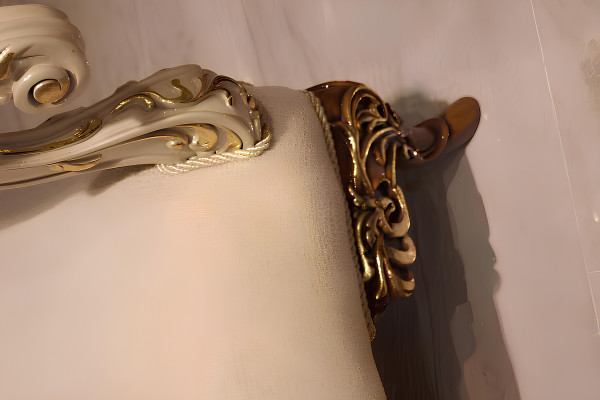 Luxury living room set Exquisite 2 sofas and designer chair