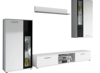 Luxury furnished wall unit for modern living room