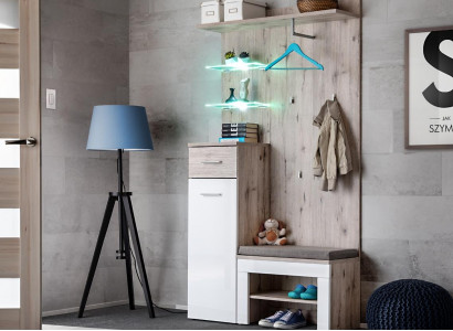 Modern luxury furniture set with wooden shoe shelf