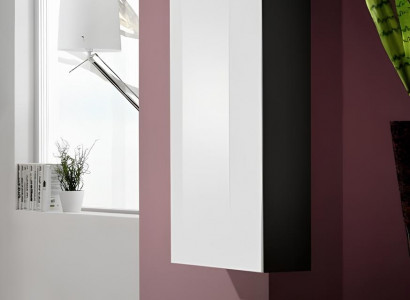 Luxury design wall display cabinet for living room decoration