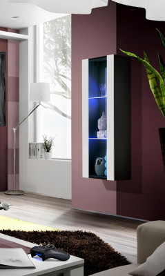 Modern wall display cabinet