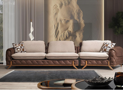 Elegant premium sofa for 4 people