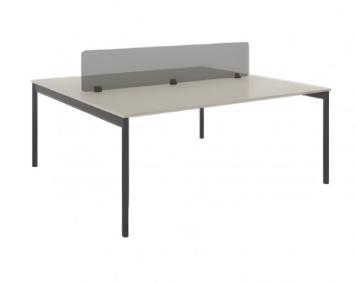 Mobile table for multiple workstations