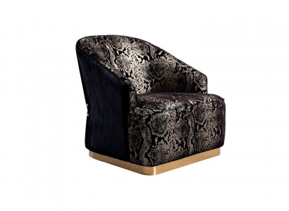 Comfortable club chair for the living room