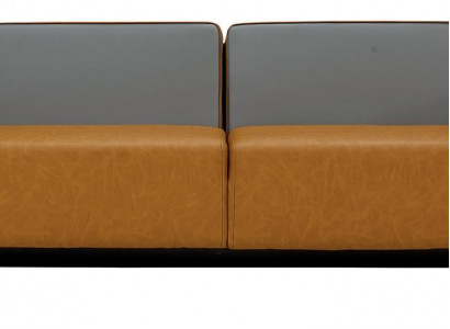 Luxury leather sofa, upholstered 2-seater, luxury design for the living room
