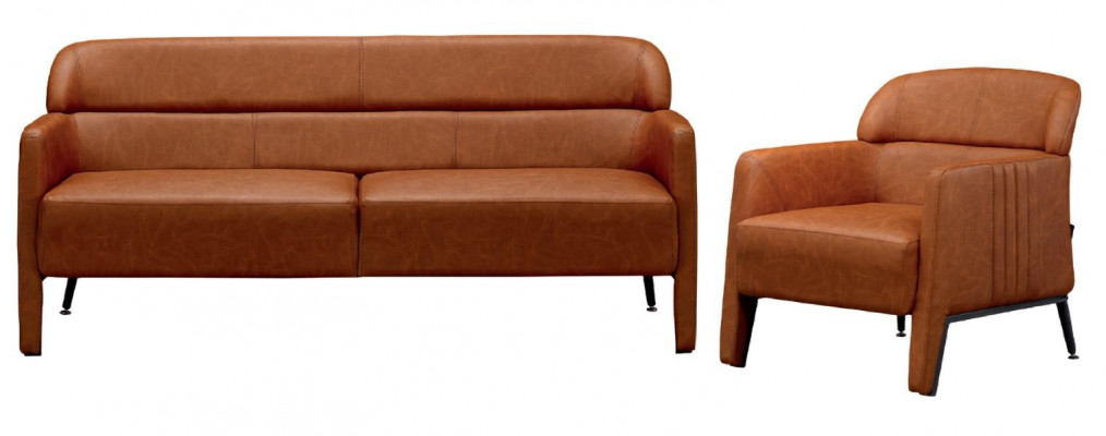 Luxury 2-piece double chair upholstered living room set