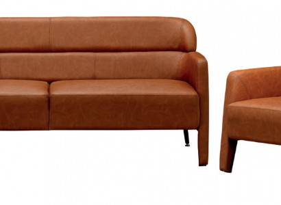 Luxury 2-piece double chair upholstered living room set