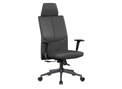 Office chair director