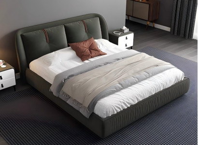 Modern leather bed