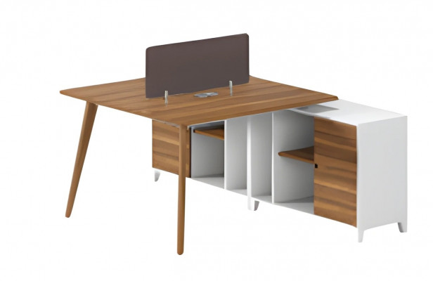 Modern writing desk with shelves and elegant partition