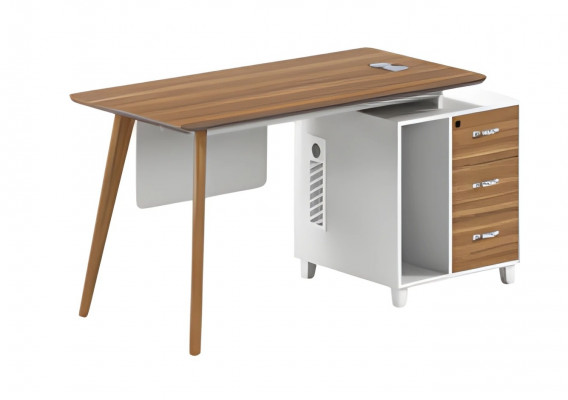 Modern writing desk with storage and elegant legs