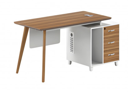 Modern writing desk with storage and elegant legs