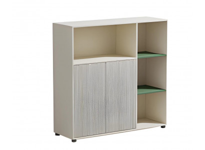 Modern office wardrobe with modular storage space and shelves for modern office design