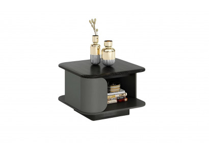 Modern coffee table with compact size and light finish, black