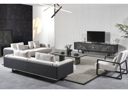 Modern sofa with chair