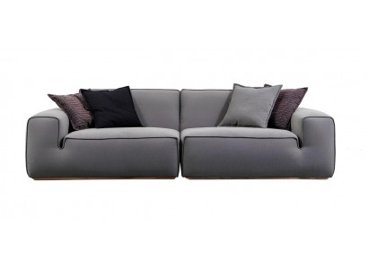Modern, beautiful and comfortable sofa