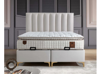 Elegant bed with cushions