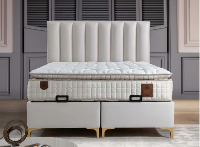 Elegant bed with cushions