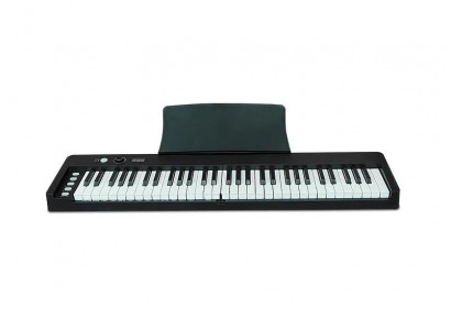 Compact synthesizer: 61 sensitive keys, lightweight, versatile options