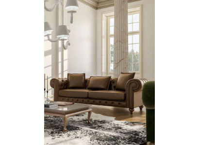 Brown three-seater living room couch luxury leather sofas style furniture new