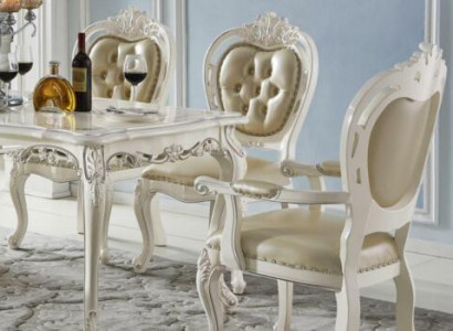 Dining room chair set armchairs single-seaters classic x6 chairs