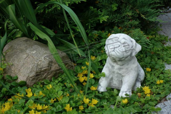 Garden Decoration Dog Terrace Stone Figure Figures White Decorative Statue