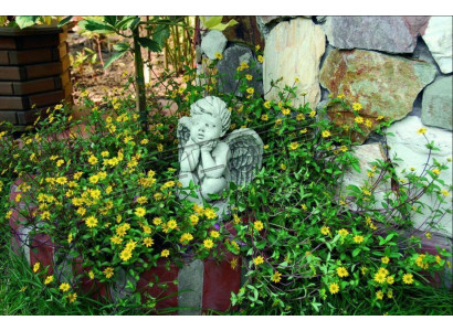 Grave decoration grave stone decor decoration angel figure sculpture God holy