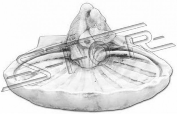 Bird Bath Sculpture Design Figure Statue Garden Figures Statues