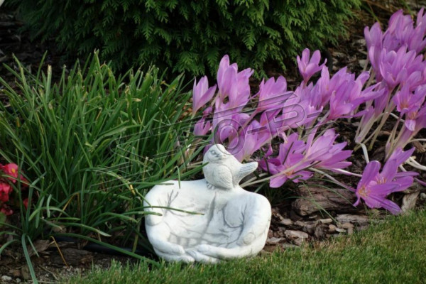 Bird Bath Sculpture Design Figure Statue Garden Decor Figures Statues