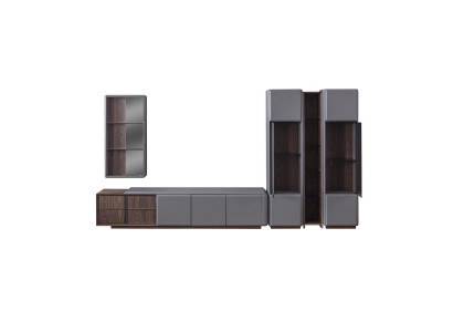Exclusive Living Room Set TV Cabinet 2x Vitrine Wall Shelf Shelves 4-piece.