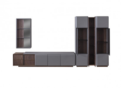 Exclusive Living Room Set TV Cabinet 2x Vitrine Wall Shelf Shelves 4-piece.