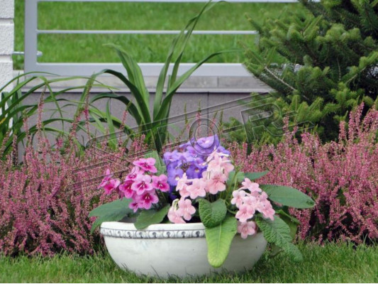 Flower basket, flowers, figures, vase, vessel, garden, terrace, decoration, statue