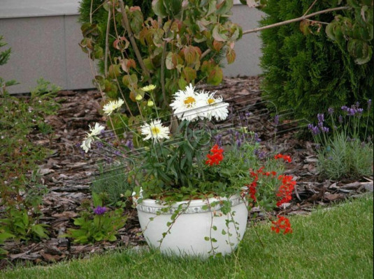 Flower basket, flower vase, vessel, garden, terrace, decoration, statue, figures