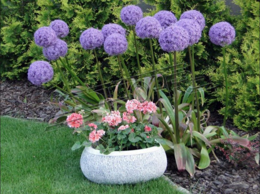 Flower pot natural plant container decoration garden vases figure flower pots