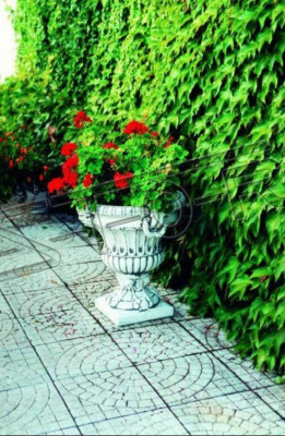 Flower pot planter decoration figure flowerpots vases garden nature