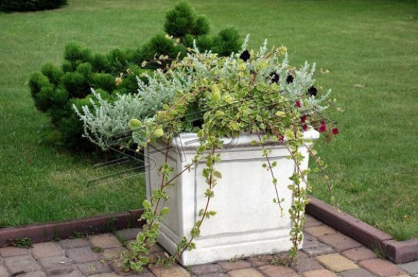 Flower planter decoration figure vases garden nature flower pots