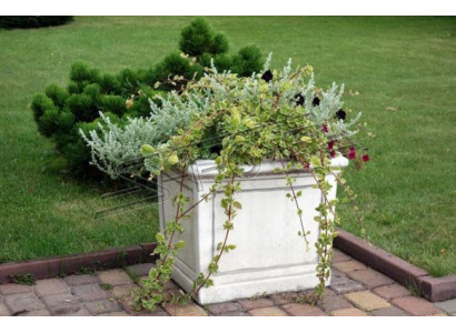 Flower planter decoration figure vases garden nature flower pots