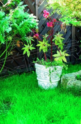 Flower pot planter decoration nature figure flowerpots vases garden
