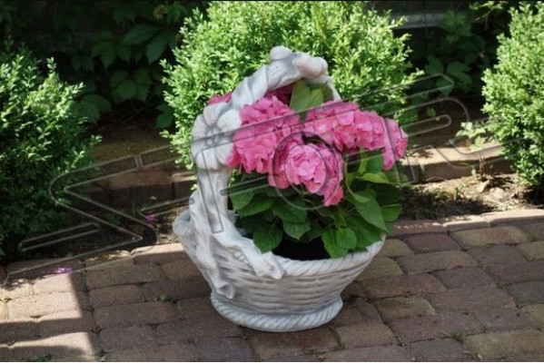 Flower pots, plant containers, decoration, nature, garden, figure, vases, flowerpots