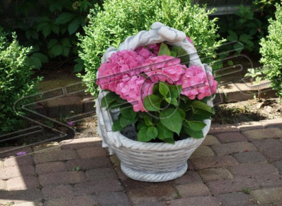 Flower pots, plant containers, decoration, nature, garden, figure, vases, flowerpots