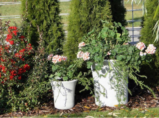 Flower pot plant container decoration vases garden figure flowerpots nature
