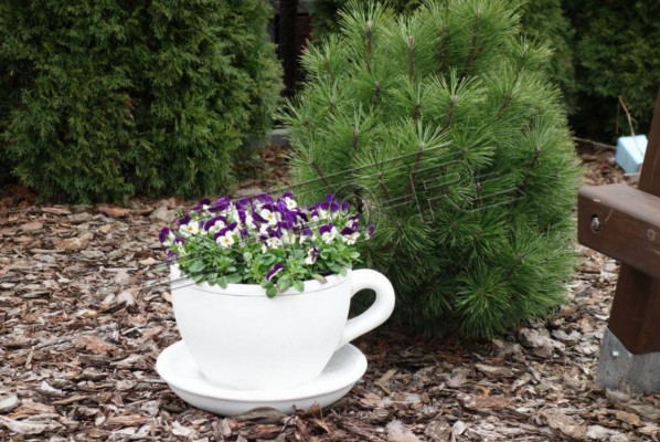 Flower pot, plant tub, nature decoration, vases, figure, garden flower pots