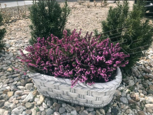 Flower pot, plant, nature, tub, decoration, garden, vases, flower pots, figure