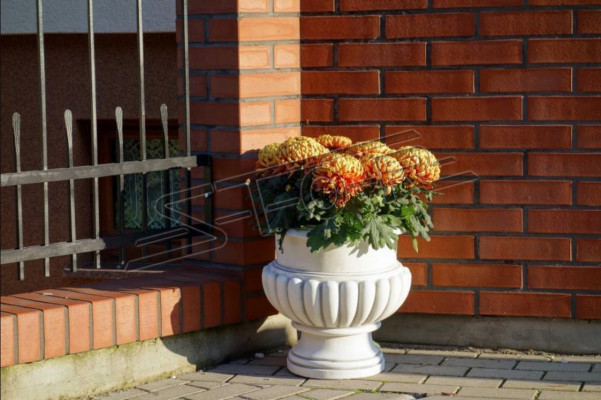 Flower pots decorative box pot flower pots XXL concrete garden terrace