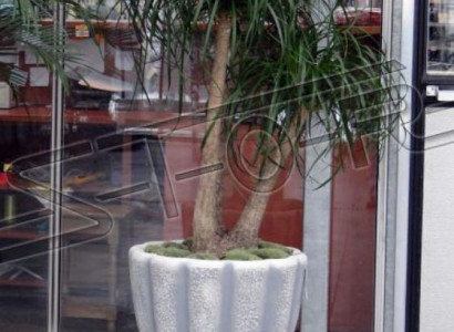 Flower pots, planter, pot, flowers, decorative pots, XXL concrete garden terrace